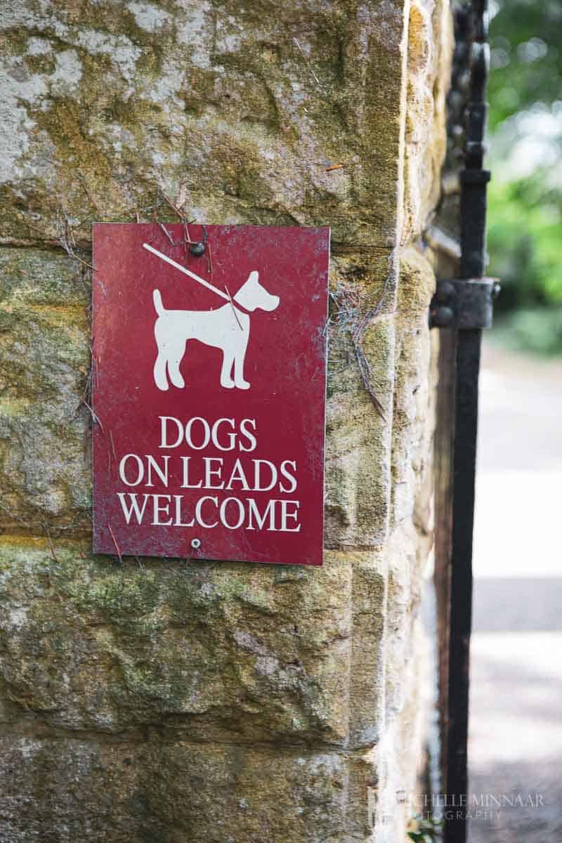 Dogs on leads welcome sign hanging on a tree