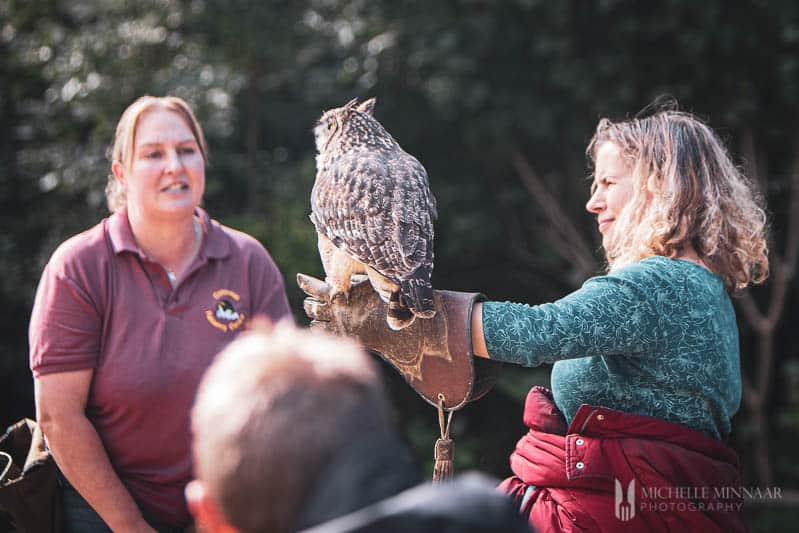 Michelle holding an owl on her arm 