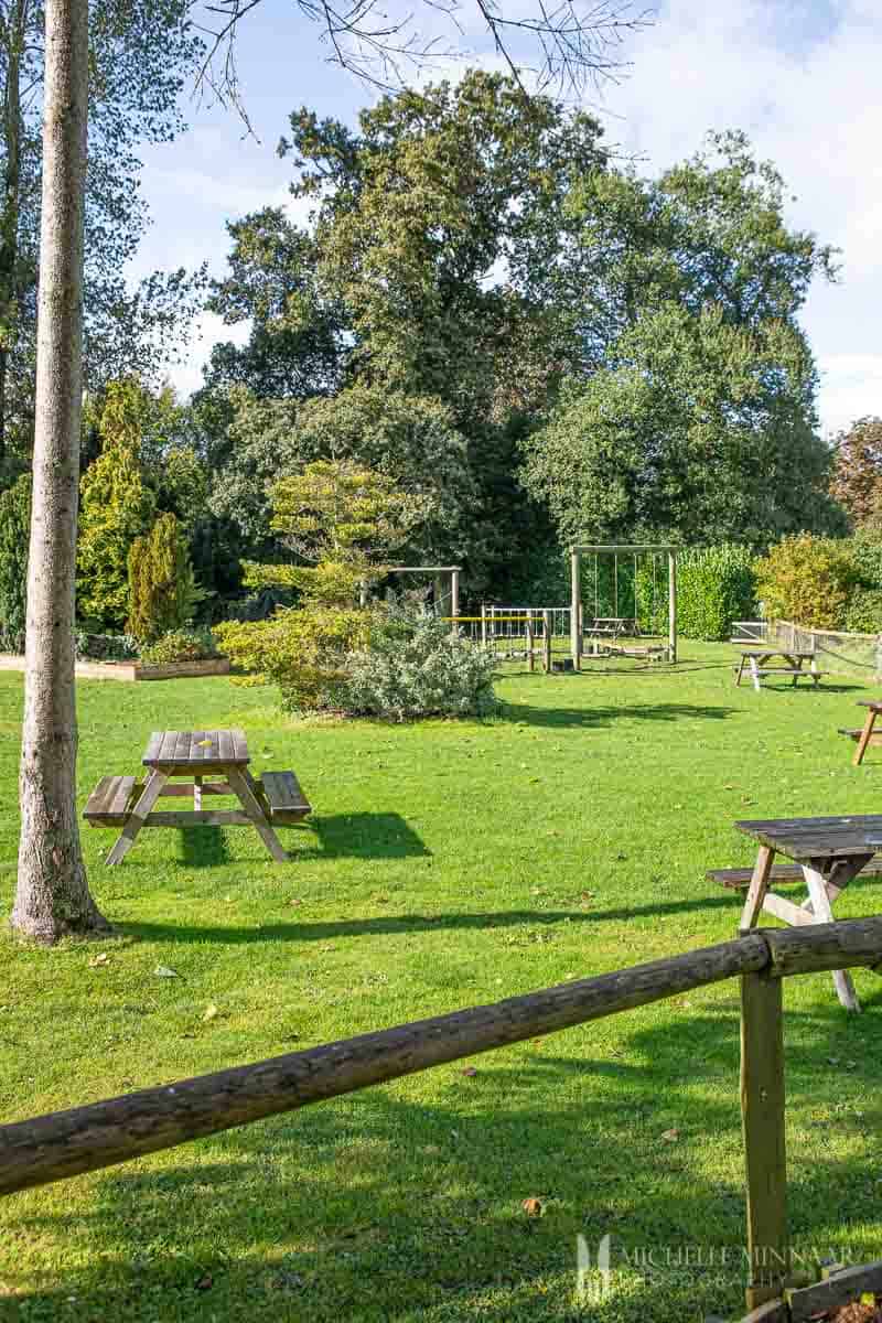 Green park and benches