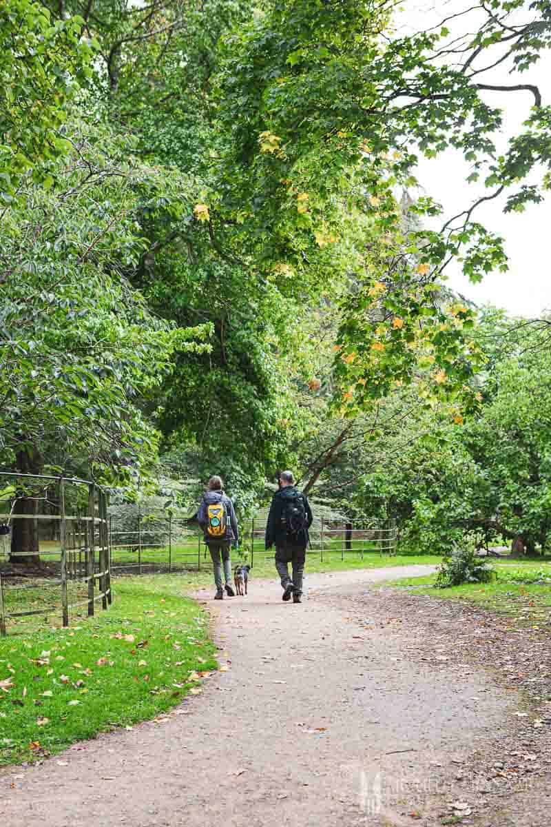 Two people walking in a park 