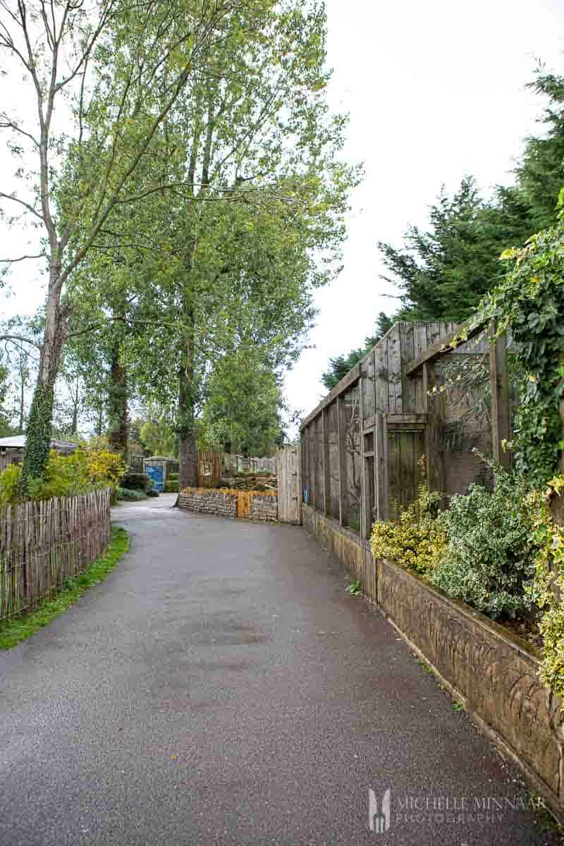 Walkway at the Birdland Park and Gardens