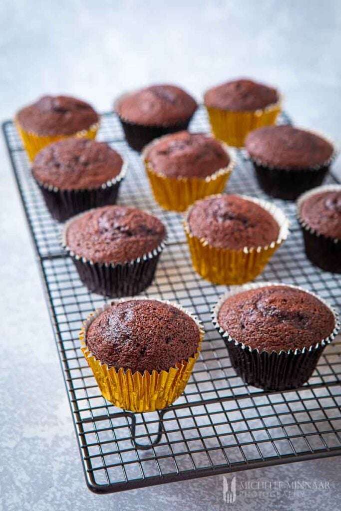 Baked cupcakes with no frosting cooling