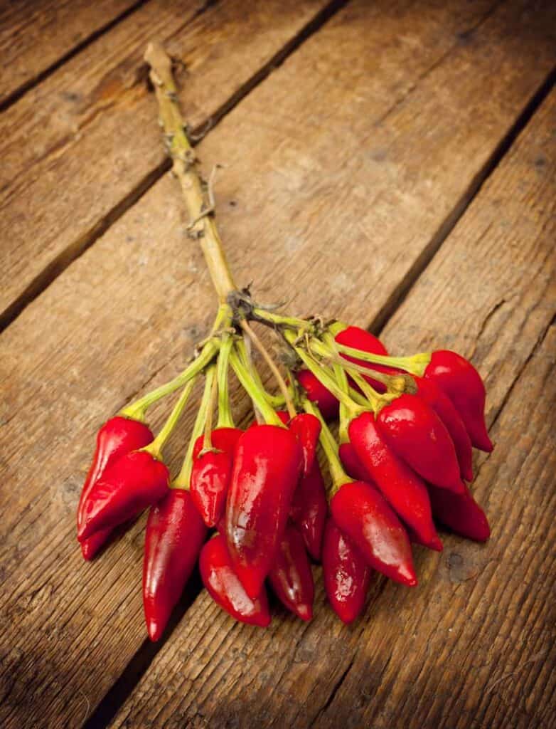 Bunch of small red peppers