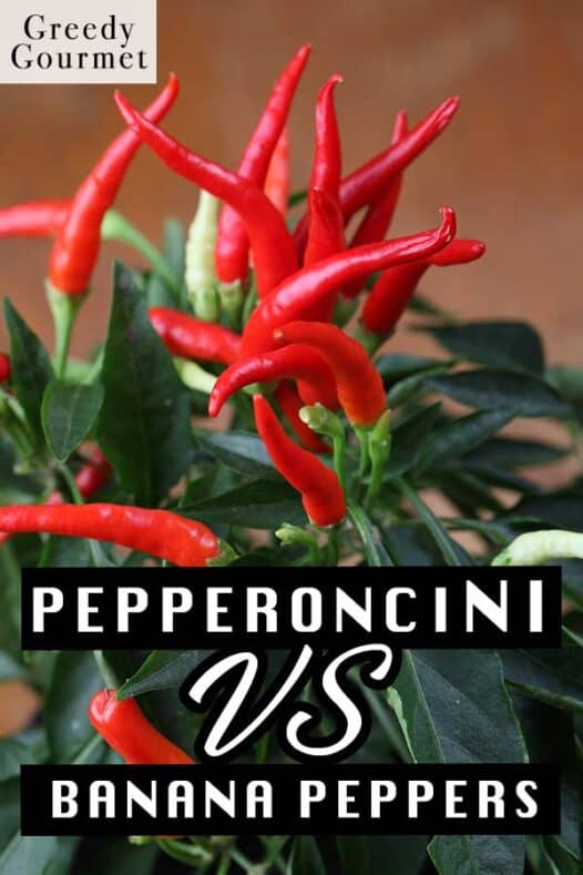 Pepperoncini Vs Banana Peppers Greedy Gourmet