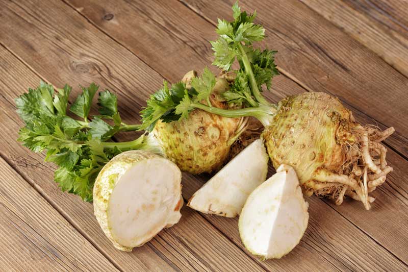 White celery root with green leaves.