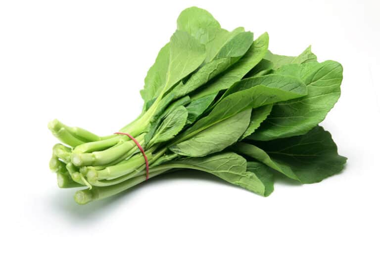 Bok Choy Substitute - The Top Seven Bok Choy Alternatives Greedy Gourmet