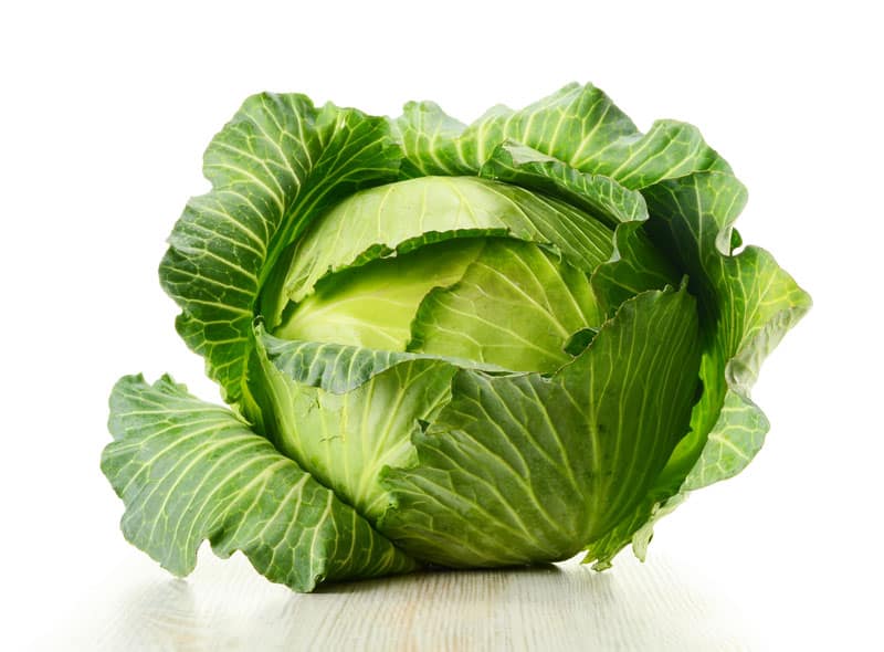 Whole round white cabbage