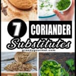 Coriander Substitutes