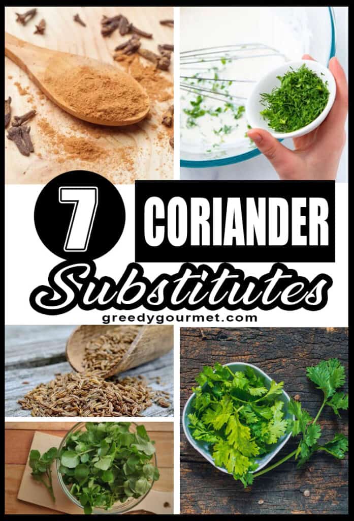 Coriander Substitutes Top Seven Coriander Substitutes That Actually Work