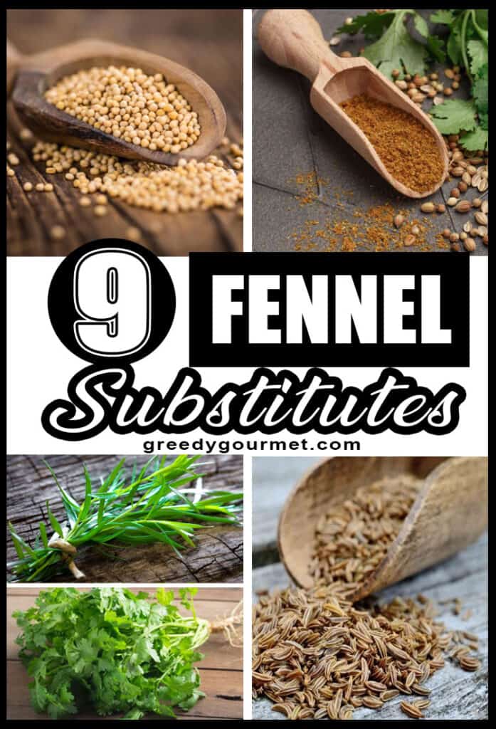 Fennel Substitutes