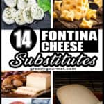 14 Fontina Cheese Substitutes