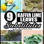 Kaffir Lime Leaves Substitutes