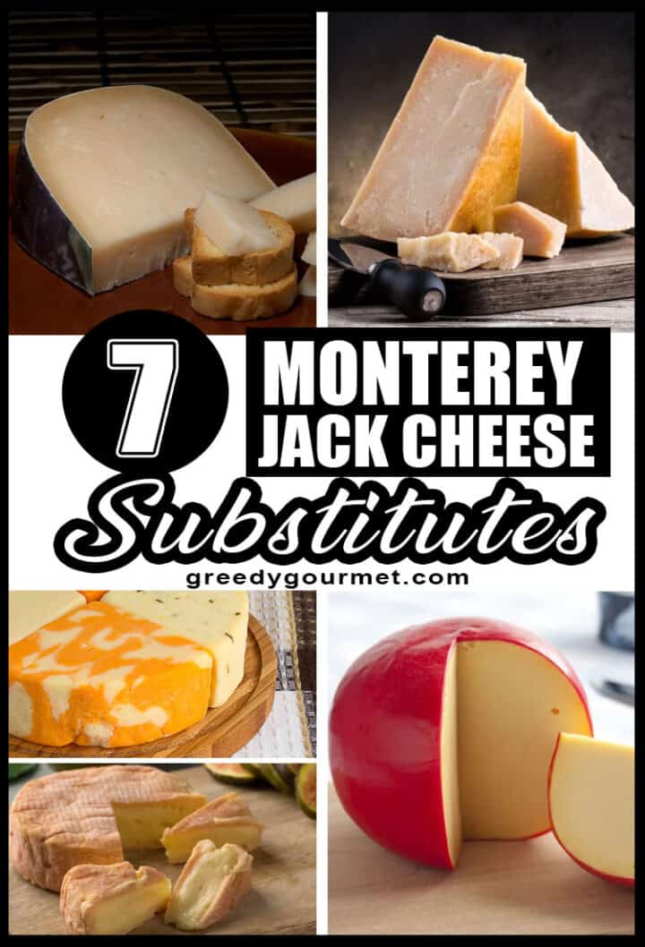 Top 7 Monterey Jack Cheese Substitutes You Need To Know About These!