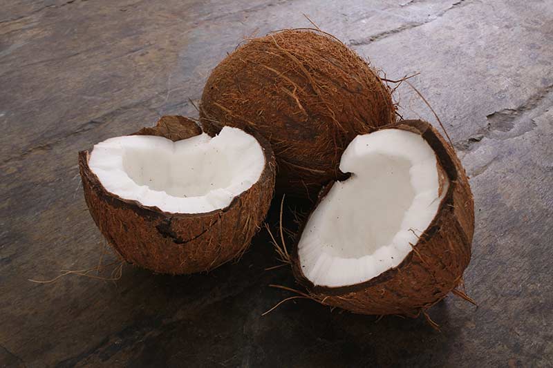 Cracked open coconut.