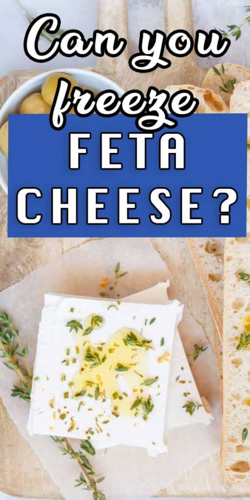 Can You Freeze Goat Cheese? A Quick Guide Greed Gourmet