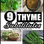 9 Thyme Substitutes