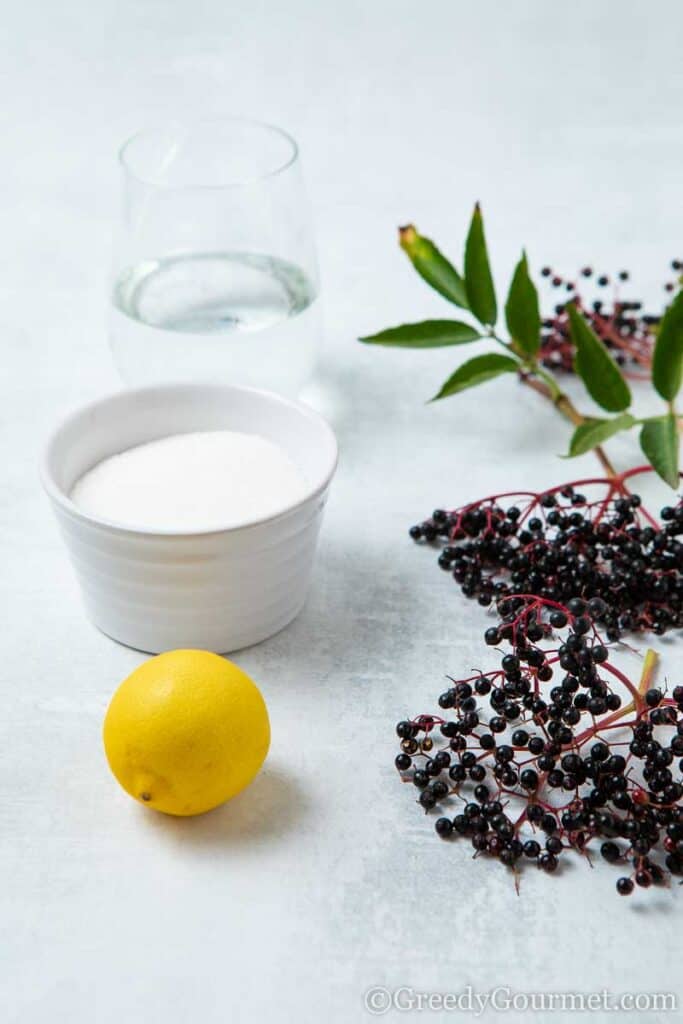 Ingredients to make elderberry gin