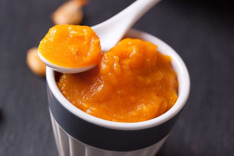 Bowl of orange pumpkin puree.