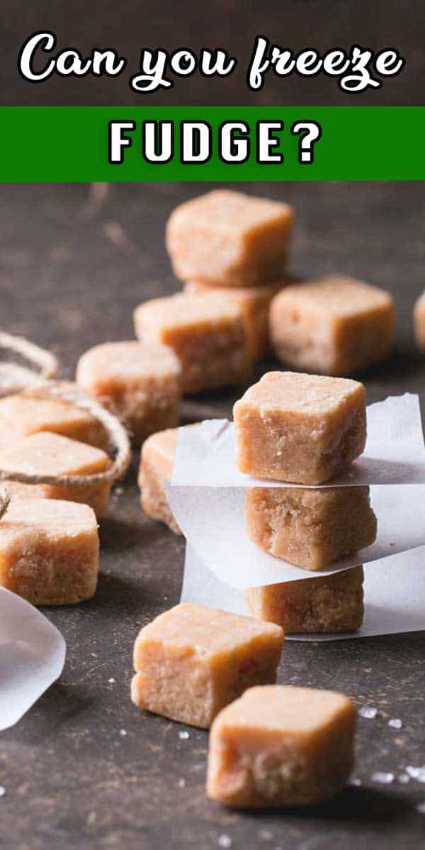Can You Freeze Fudge? StepByStep Guide Greedy Gourmet