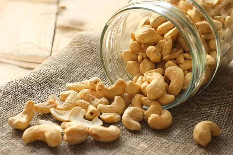 Glass jar of cashews to be used as a pine nut substitute