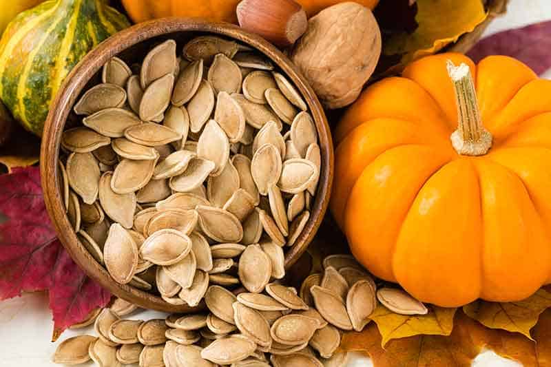 Fresh pumpkin seeds and mini pumpkin.