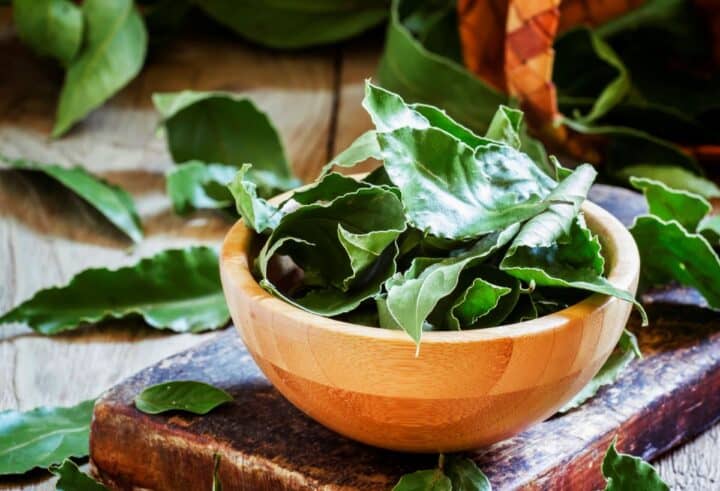 Bay leaf in wooden bowl