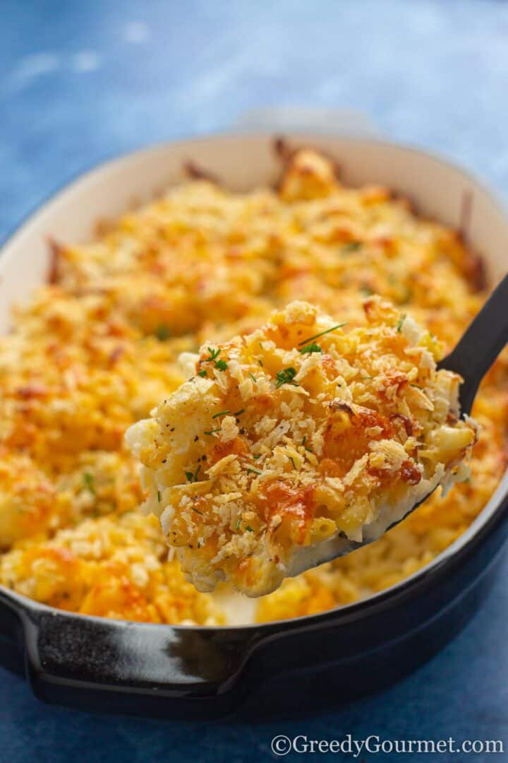 cauliflower cheese in blue tray