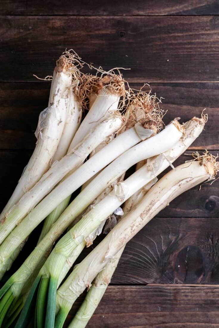 Best Leek Substitutes - Savor + Savvy