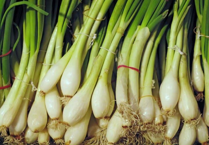 8 Things That Will Give Almost Same Flavor As Green Onions