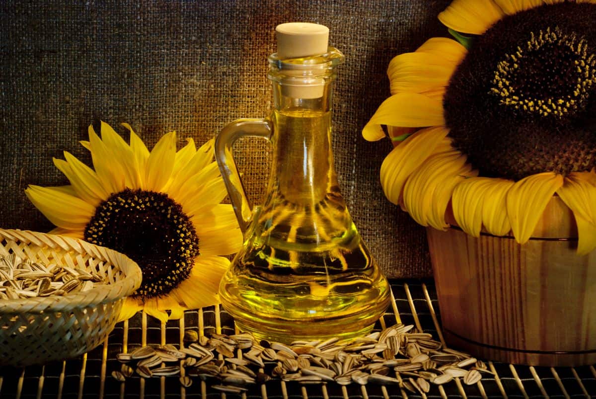 sunflower seeds in front of a jar of sunflower oil.
