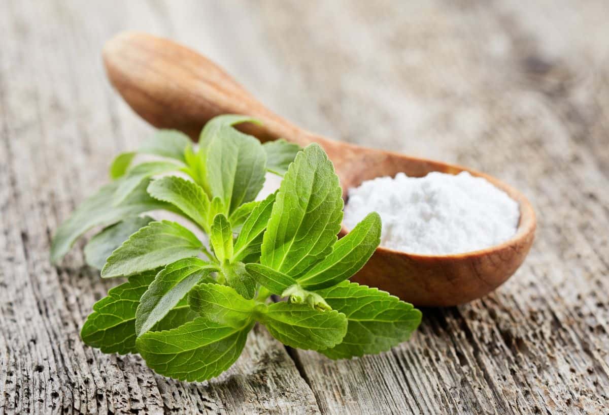 wooden spoon of stevia.