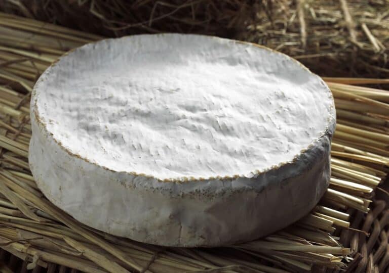 11 Brie Cheese Substitutes Greedy Gourmet