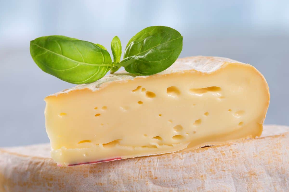 The 10 Best Taleggio Cheese Substitutes Greedy Gourmet
