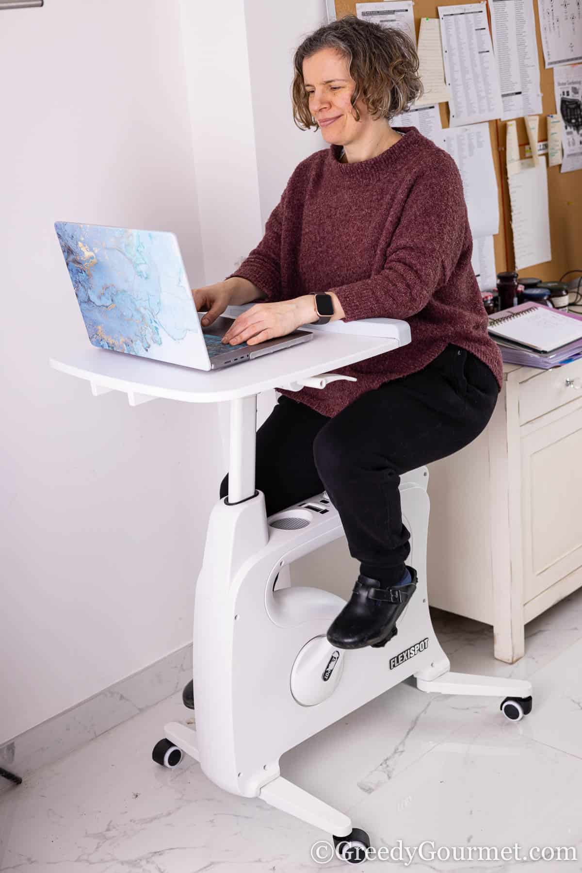 FlexiSpot Desk Bike Review Greedy Gourmet