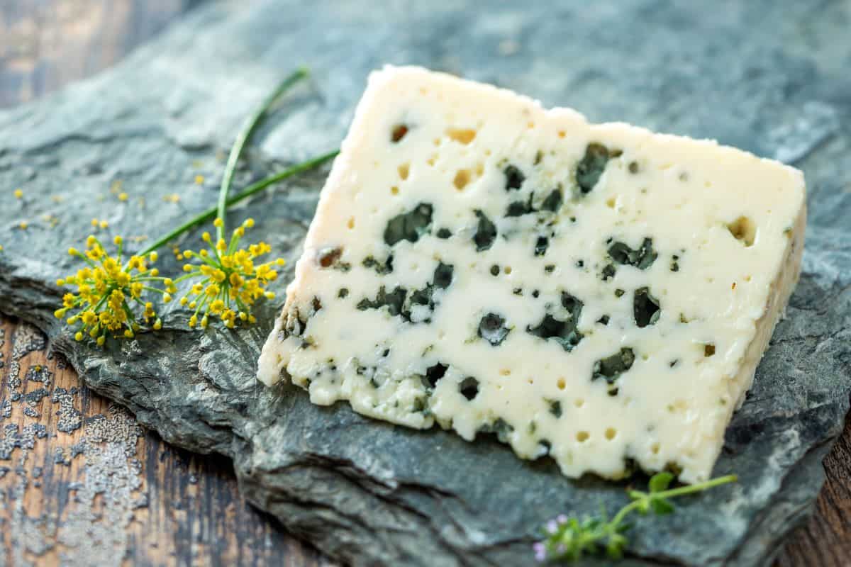 The 10 Best Taleggio Cheese Substitutes Greedy Gourmet