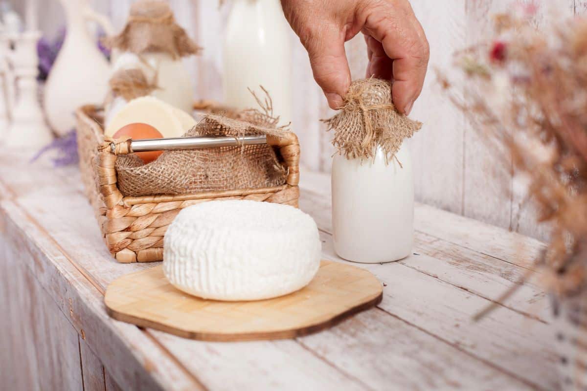 farmers cheese next to fresh milk.