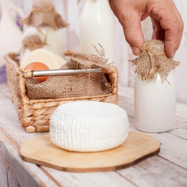 farmers cheese next to fresh milk.