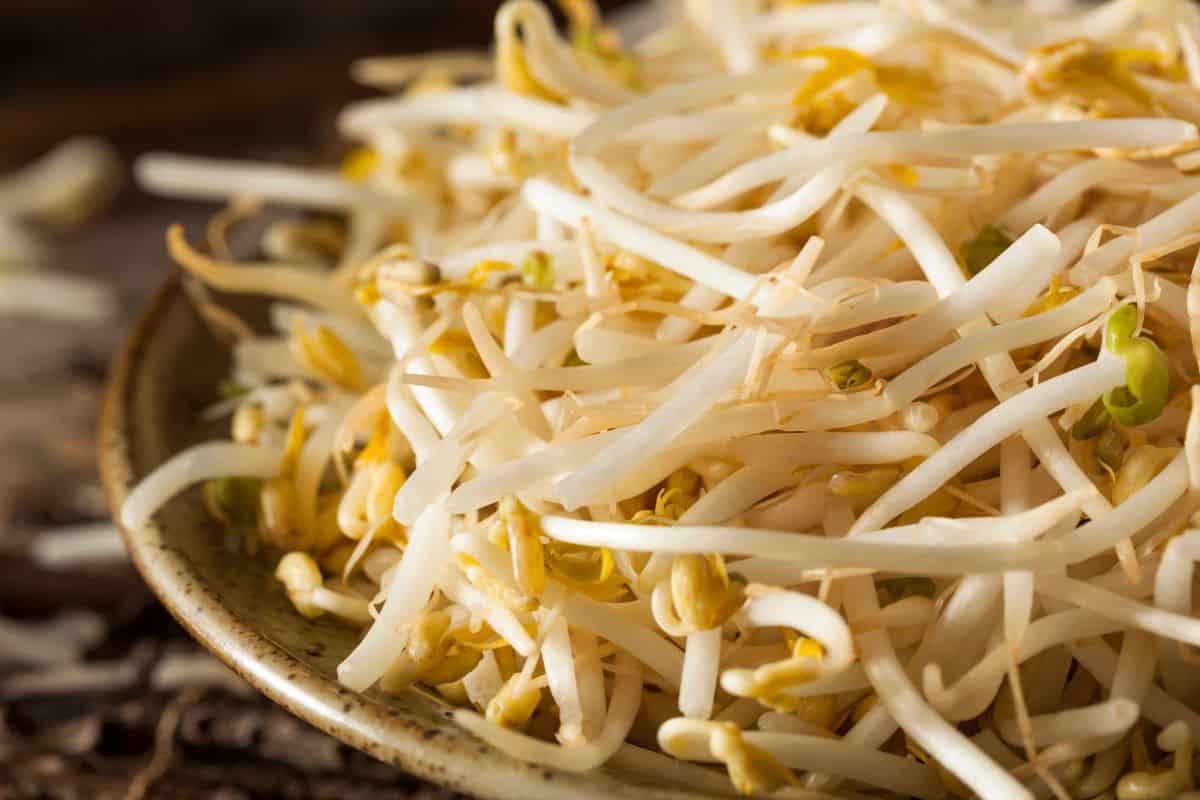 Mung bean sprouts.