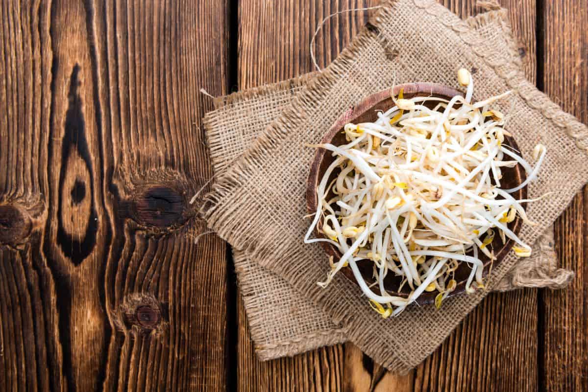 Wooden bowl filled with mung bean sprouts.