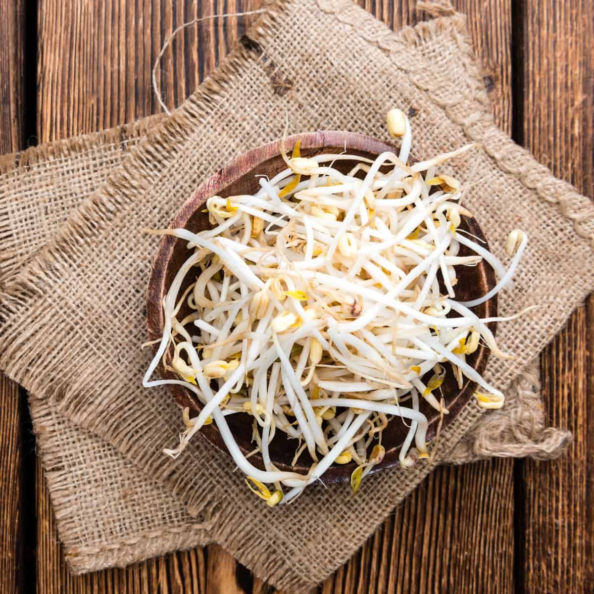 Wooden bowl filled with mung bean sprouts.