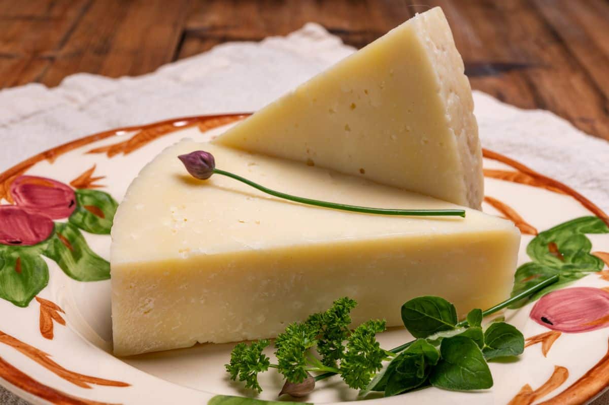 pecorino romano cheese slices. pecorino cheese substitutes.