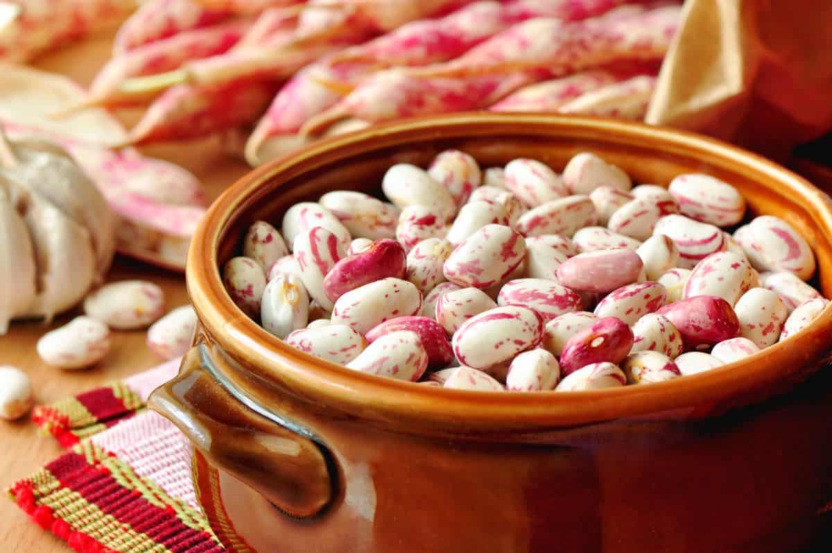 borlotti beans.