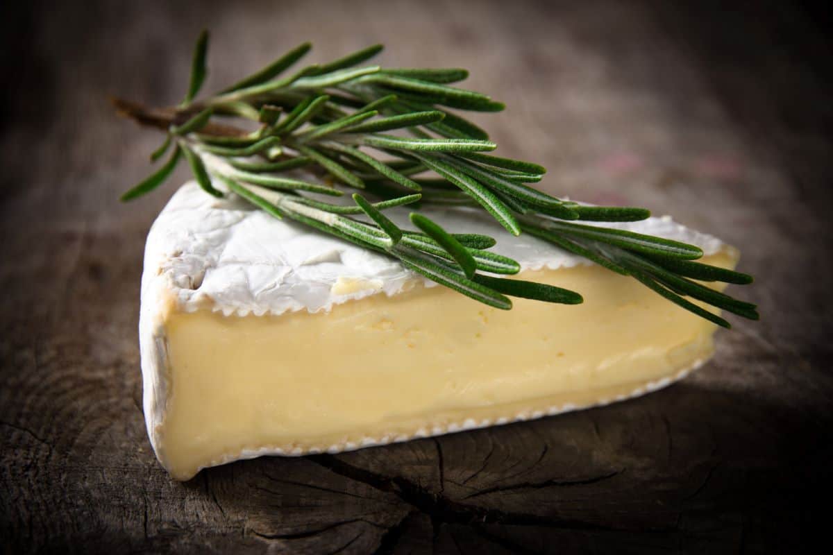 Slice of brie with a sprig of rosemary.