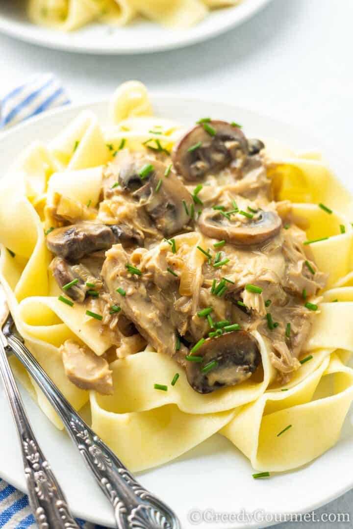 leftover turkey stroganoff with pasta ready to serve.