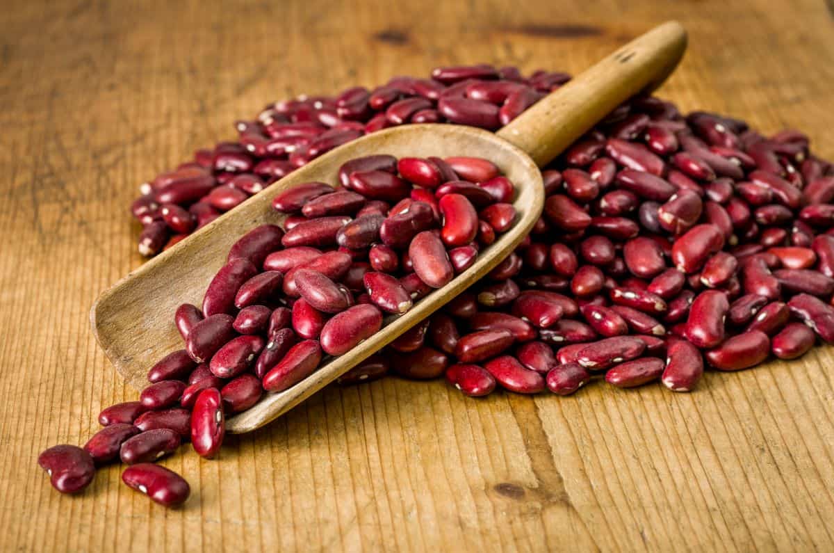 The Best 9 Pinto Bean Substitutes Greedy Gourmet