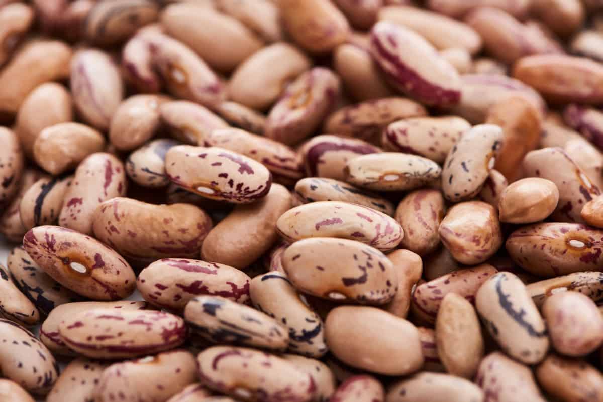 Raw pinto beans.