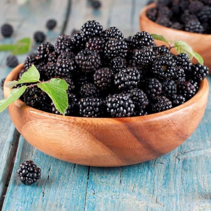 bowl of fresh blackberries.