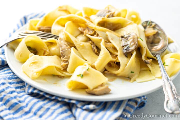 leftover turkey stroganoff with pasta ready to serve.