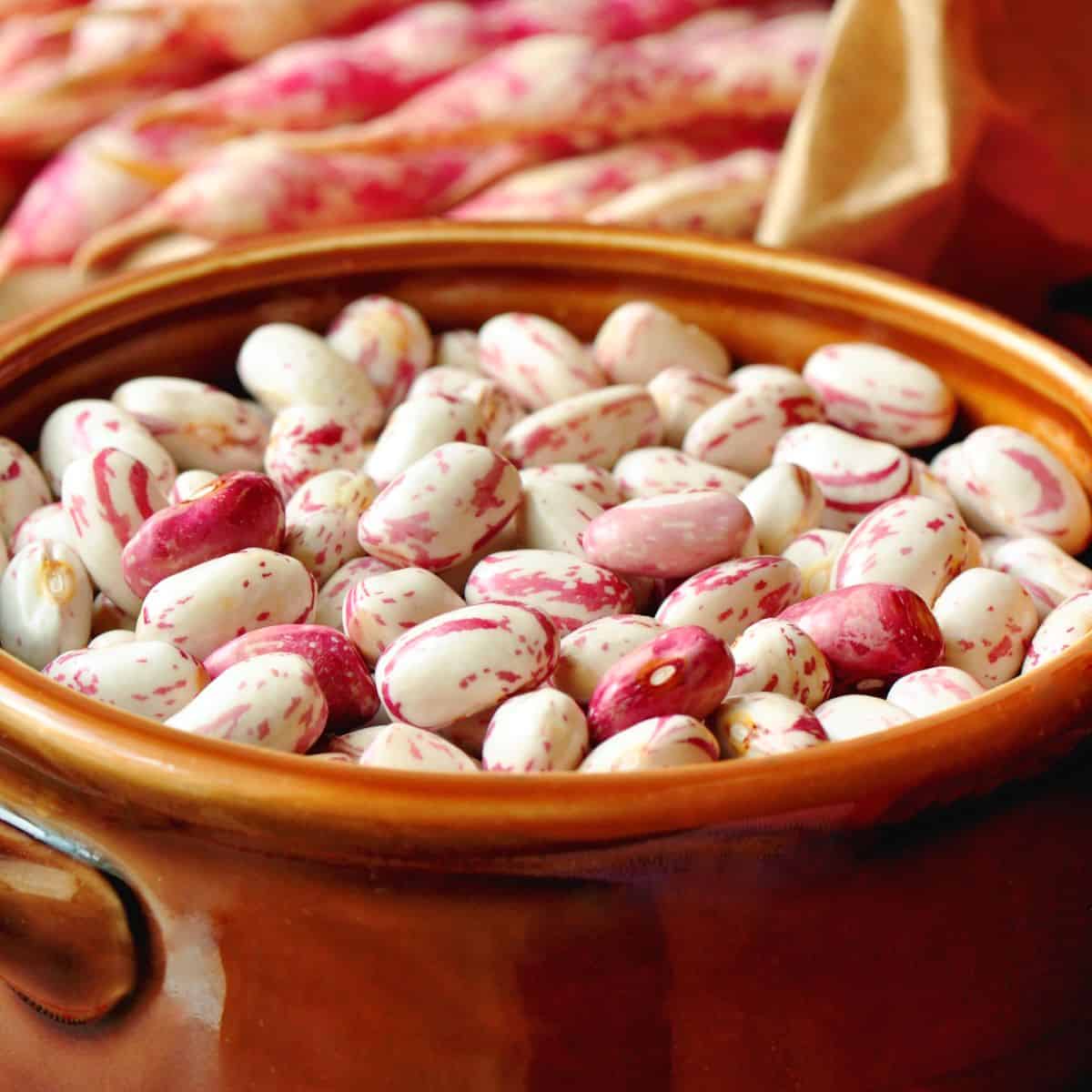 borlotti bean substitutes.