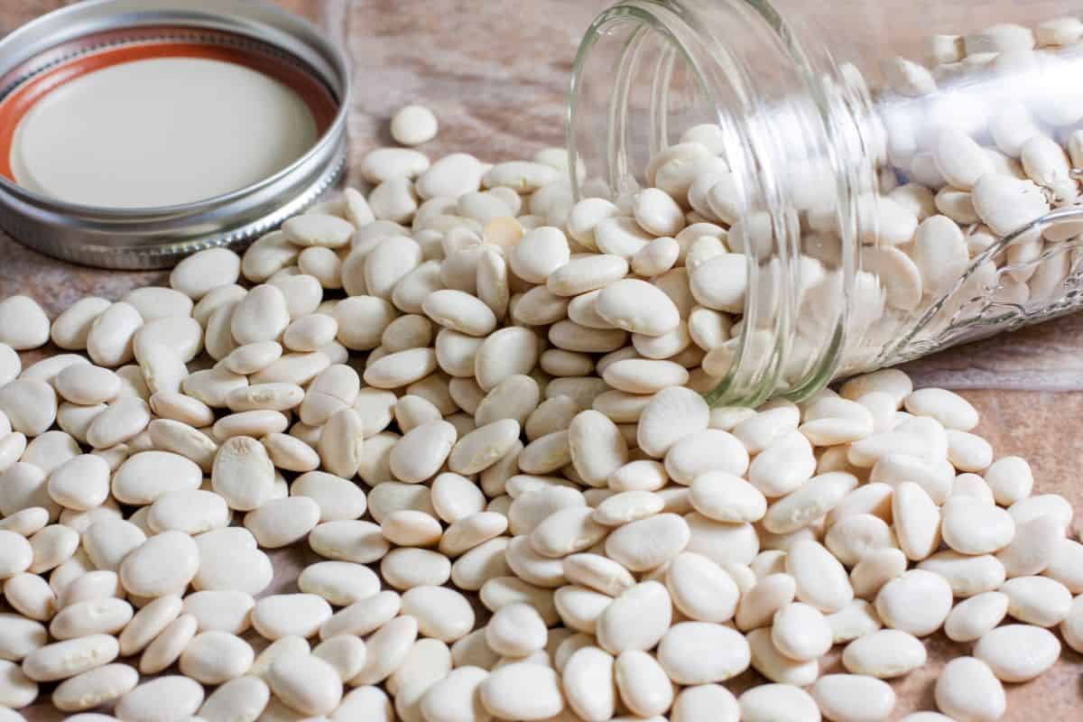 dried lima beans spilling out a jar.